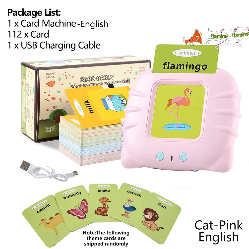 Talking Flash Cards Toy