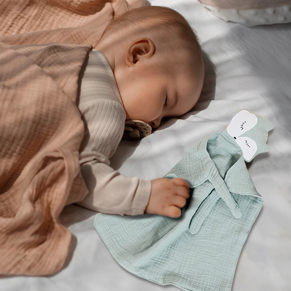 Baby Comforting Blanket