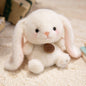 Cute Sitting Red Panda, Fox, Sloth, Cat, Stuffed Animal