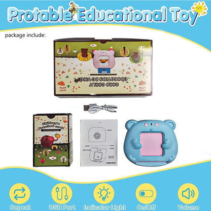 Talking Flash Cards Toy