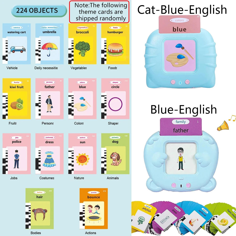 Talking Flash Cards Toy