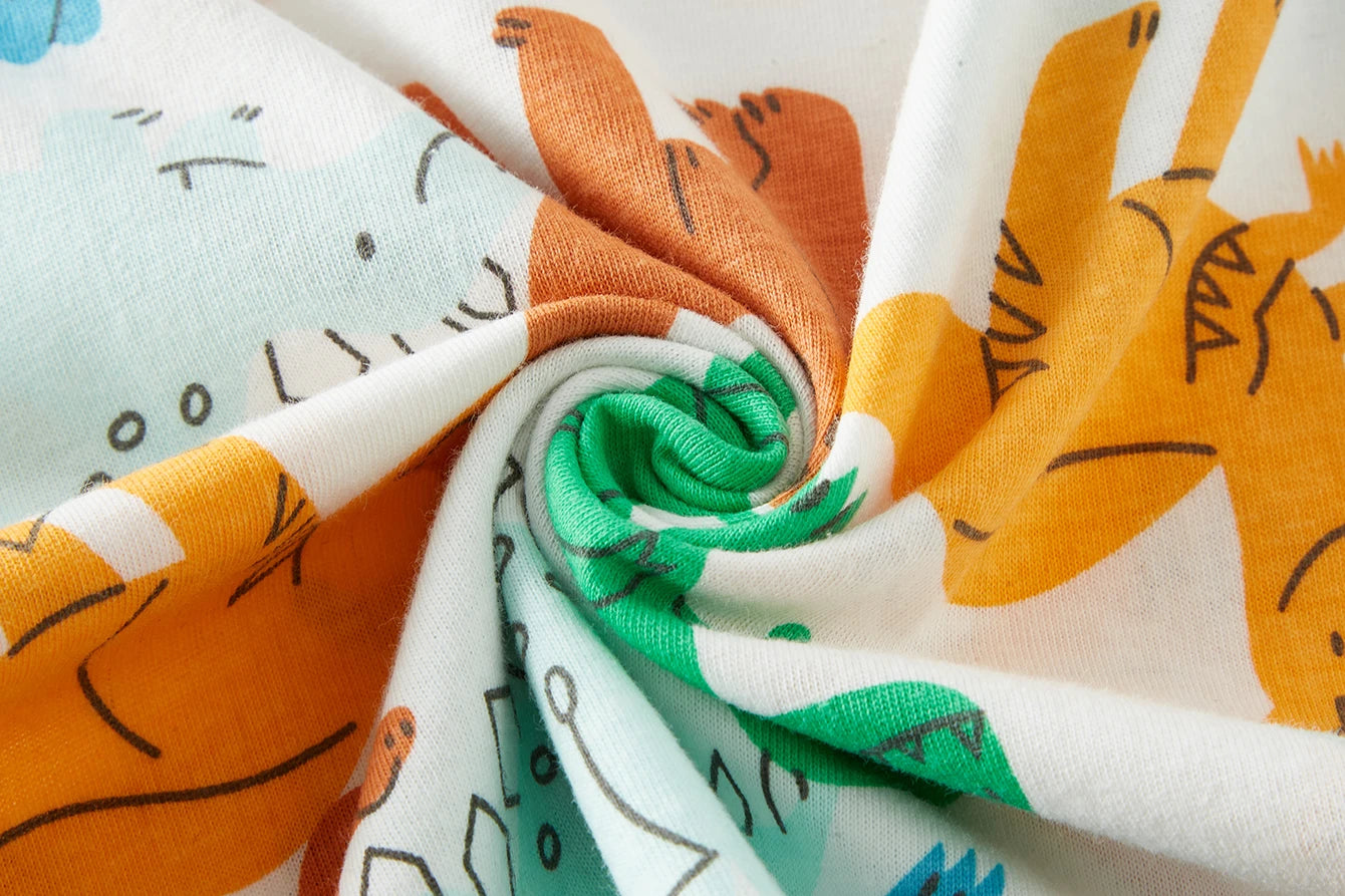 Long Sleeve Dinosuar Pajama Set