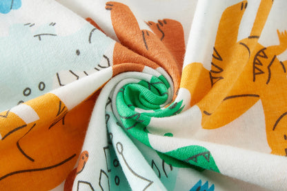 Long Sleeve Dinosuar Pajama Set