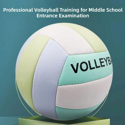 Official Size 5 Volleyball