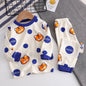 Long Sleeve Boys Pajama Set