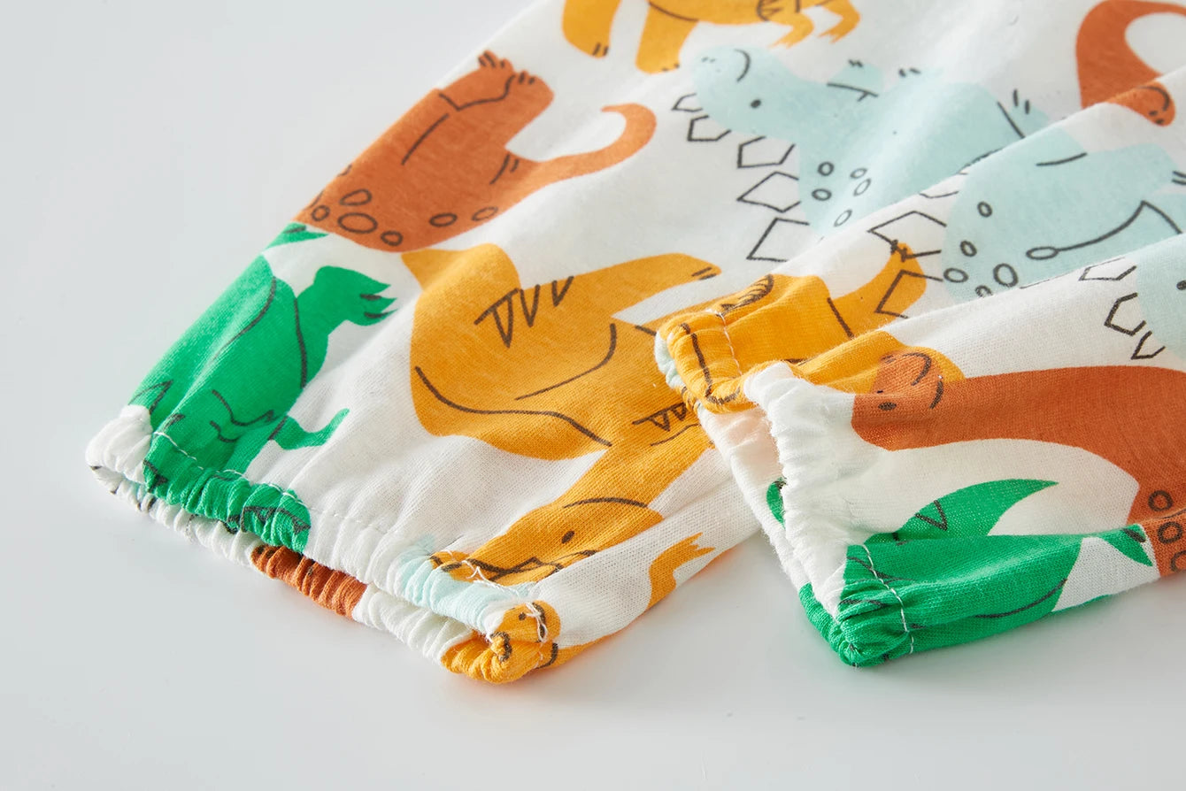 Long Sleeve Dinosuar Pajama Set