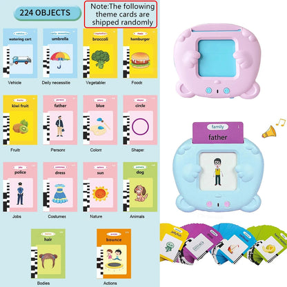 Talking Flash Cards Toy