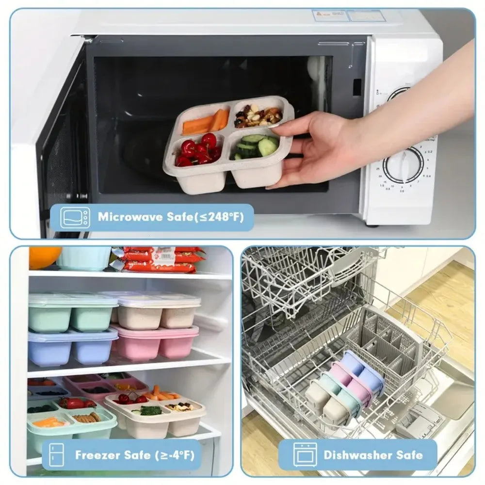 4 Grid Snack Containers